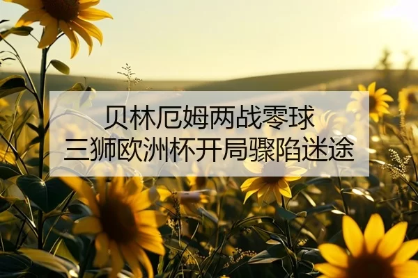 贝林厄姆两战零球 三狮欧洲杯开局骤陷迷途